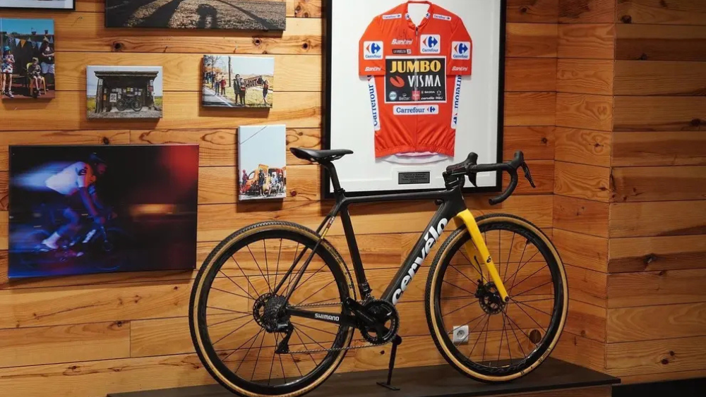 Професійна команда Team Visma | Lease a Bike (раніше Team Jumbo-Visma)